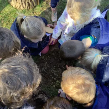 13D7B9C4-1960-474D-AAD8-BA176F1391F7