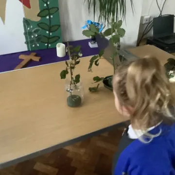 99B4B7C9-8D18-4339-9E35-2E936D64D6EA