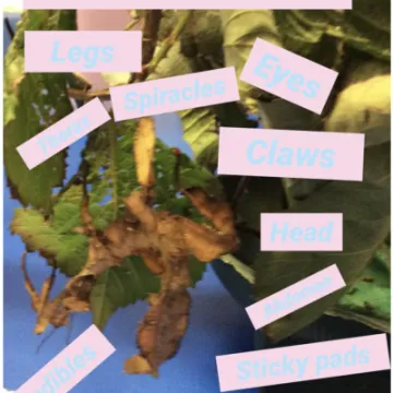 Screenshot 2022-03-21 at 17-20-56