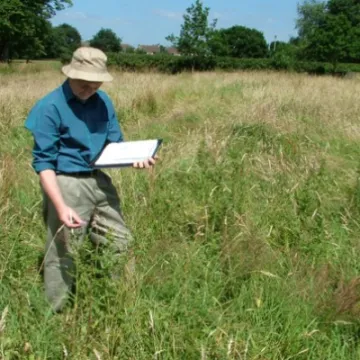Glebe-Meadow-3