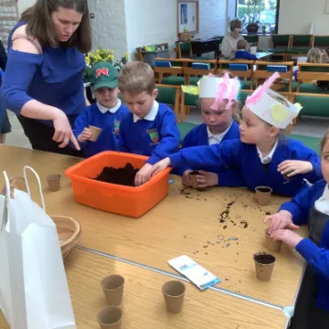 196CCAFD-8FA2-4397-AAE0-BF22BC0EC1F7