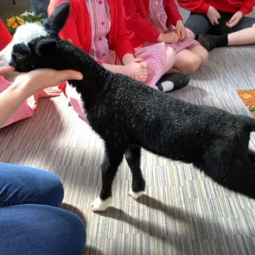 8A6B62E4-3828-41D4-BC56-0EC7C20EB8BF