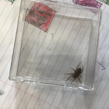 90495806-8CCD-483F-A4D1-F0D316D7E0A2