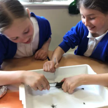 9422862F-0DE4-45FF-ADB1-299DA676D03A