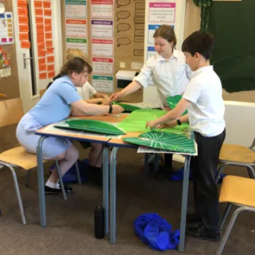 6D370947-A768-441A-BFA0-DDB9045495C3