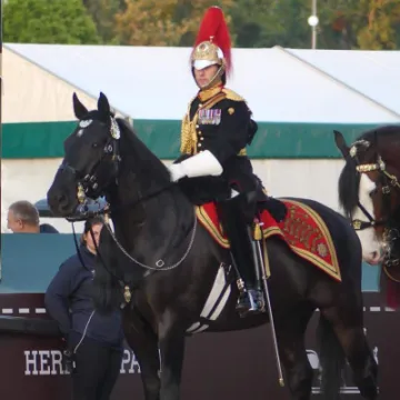 7ab874f4 7162 4a38 9c16 406fed15995c