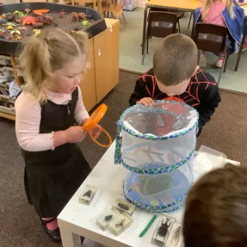 5F5AD888-37A7-497D-BEA9-0A0435B8DCED