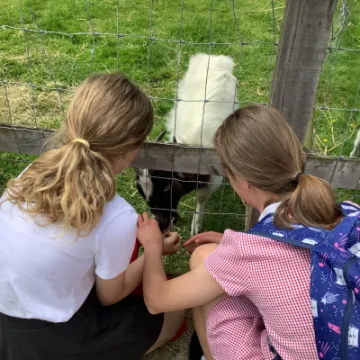 841DBA08-76A4-4DF2-898C-10FA71379DE8