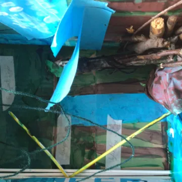 1240ED3B-1080-4436-920D-1E88655135A6