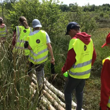 75E32EF9-276D-49DD-AF45-01CD22F6BAD8