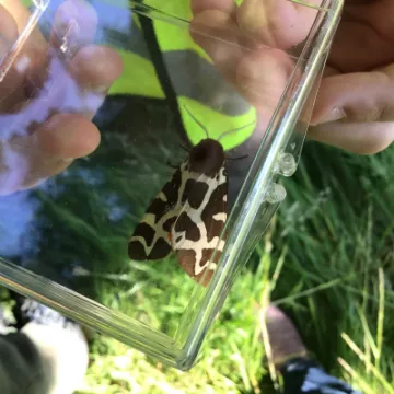 CB7CC5BD-5C3C-4834-9BEF-A698F2E980BC