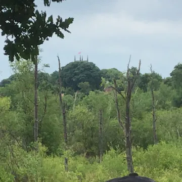 E372CAE2-8F4C-4061-AA5A-7632C14BB1E8