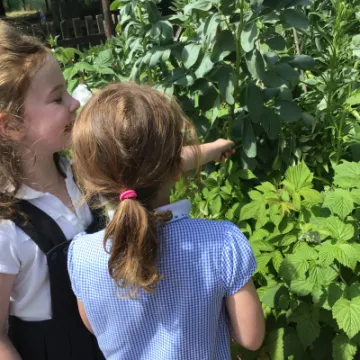 919A7760-7394-423E-B1C9-B60BCAFE1C66