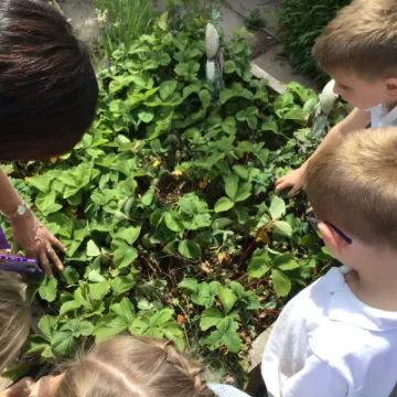 6A02177C-BAAB-4FF5-BD52-82D71290C0E8