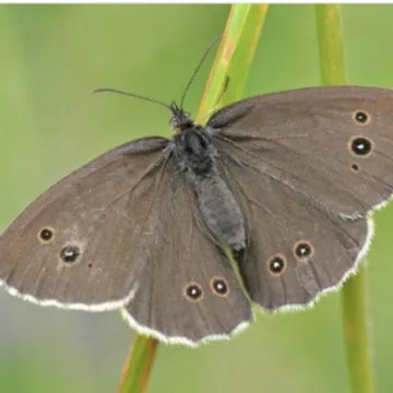 059F76DF-D1CD-4699-8127-C8AB89DBDA8F