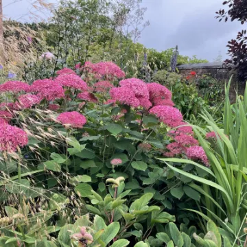 6DB5FD2F-6AC2-4AB1-BA8F-964FAA4D3CA0