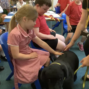 893FAA64-8389-4AE9-84D7-200256AE954A