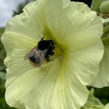 3E3C5A30-7F3B-4EE0-B9C4-CEF6A80BC6E3