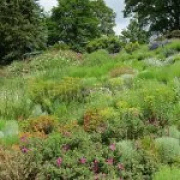 Ness Gardens jpg28