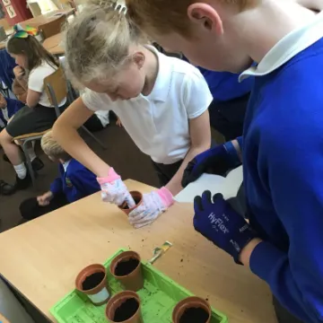 Planting seeds PSHE