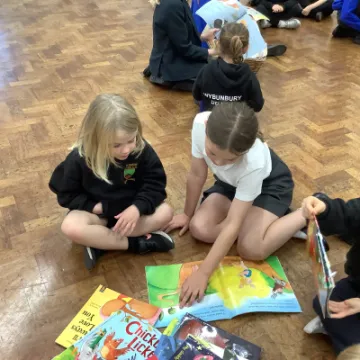 A527B76B-F9C0-4A02-A396-FC0B79302AAD