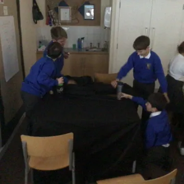 B19E8A73-B6C5-435D-96A3-6472AF1B9623