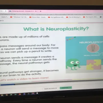 4377B381-A4CF-4081-8D08-BDD8CB3313A9