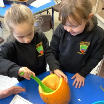 DF4561D2-F654-419F-88F6-75D8FC921DA6