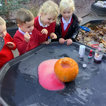 A28640F6-C56D-41A7-9953-E63CD1F26E4C