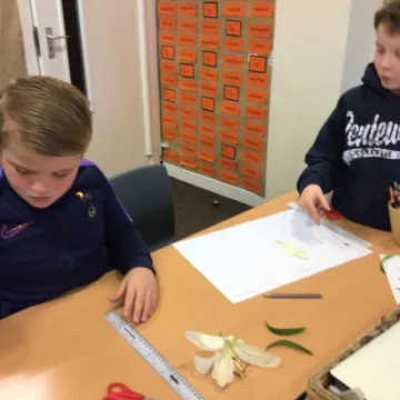 DB2D230B-5AC3-48F7-B433-4E81837AA913