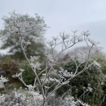 BBC18FBB-728E-40A1-9CB3-B9143CC7380B