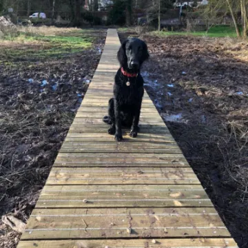 D2886188 3cd5 41ca b37f 7f80944a24ba