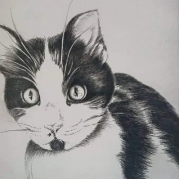 Screenshot_20230118_202404_facebook (1)