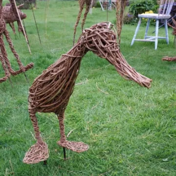 duck