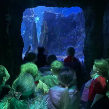 Screenshot 2023-01-30 at 15-17-29