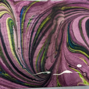 PXL_20230201_162647874