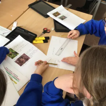 66C72AD3-DF56-469A-80DB-46C318E942B5