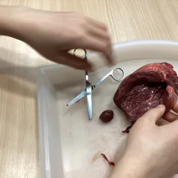 9BFBFA62-33E4-4E85-B203-432631983E40