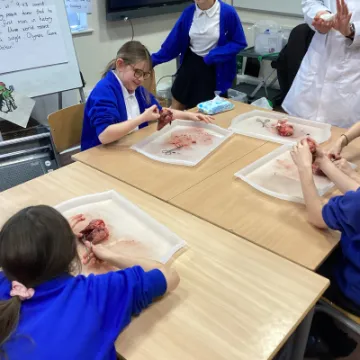 5C443329-DAFC-43B2-A79C-5A61FF9A826B