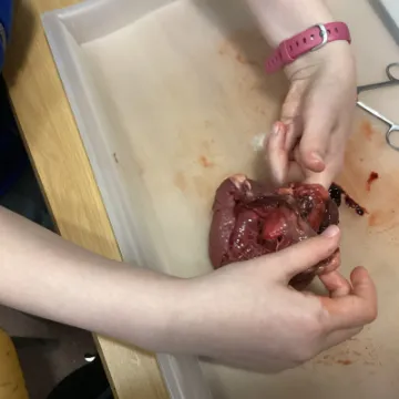 314F313C-052E-4287-9DDD-7D6D0861CE03