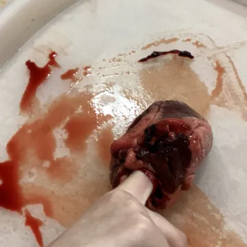 9A1666D1-C861-449F-BE69-BD809E02084E