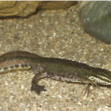 E08D3D33-4B98-443F-BA20-DD3E40BAF6C8