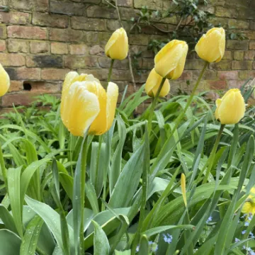 F033B35D-329B-469E-919F-032AC31E4D58