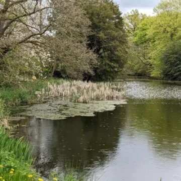 Pxl_20230429_133952762