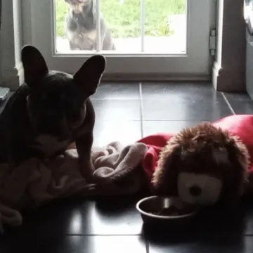 Screenshot 2023-05-06 at 07-53-27