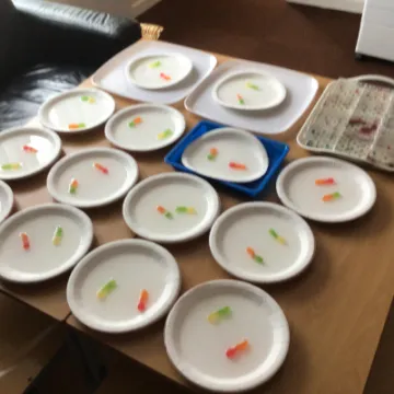 75BCE145-077B-4F55-BD7C-400BBF5CB0A0