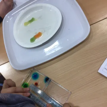 CBF46834-09BB-4C98-86E0-BEB8EB4FE011