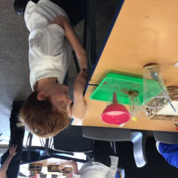 1313C584-7267-41B8-A964-25380F071892