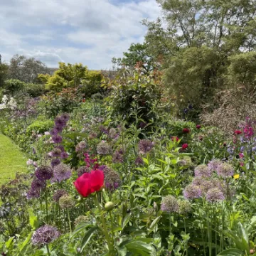 0D410216-FD9E-4142-B967-F3E1B6311E37