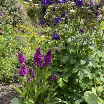 9F2F52BF-7FB7-4A7E-97E1-E0371BF069CA